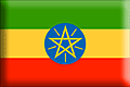 b2b Ethiopian Limu